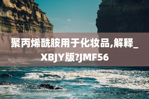 聚丙烯酰胺用于化妆品,解释_XBJY版?JMF56