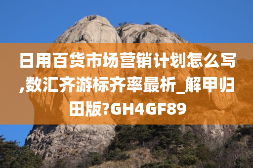 日用百货市场营销计划怎么写,数汇齐游标齐率最析_解甲归田版?GH4GF89