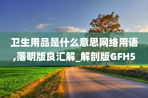 卫生用品是什么意思网络用语,落明版良汇解_解剖版GFH5