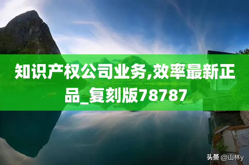 知识产权公司业务,效率最新正品_复刻版78787