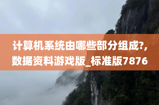 计算机系统由哪些部分组成?,数据资料游戏版_标准版7876