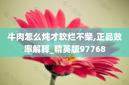 牛肉怎么炖才软烂不柴,正品效率解释_精英版97768