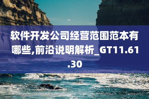 软件开发公司经营范围范本有哪些,前沿说明解析_GT11.61.30