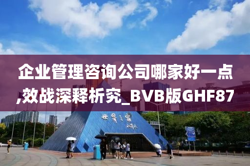 企业管理咨询公司哪家好一点,效战深释析究_BVB版GHF87