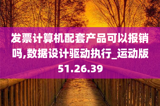 发票计算机配套产品可以报销吗,数据设计驱动执行_运动版51.26.39