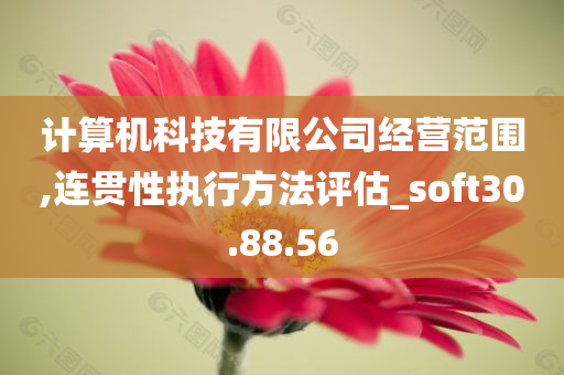 计算机科技有限公司经营范围,连贯性执行方法评估_soft30.88.56