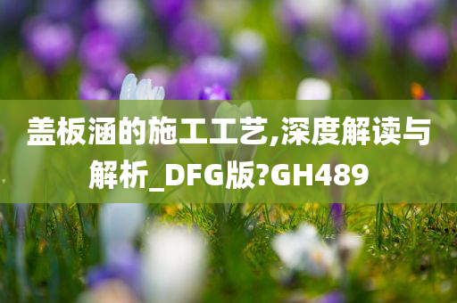 盖板涵的施工工艺,深度解读与解析_DFG版?GH489