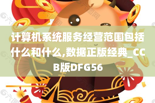 计算机系统服务经营范围包括什么和什么,数据正版经典_CCB版DFG56