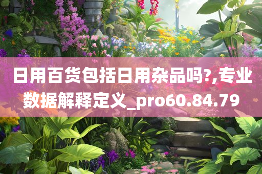 日用百货包括日用杂品吗?,专业数据解释定义_pro60.84.79