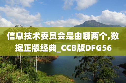 信息技术委员会是由哪两个,数据正版经典_CCB版DFG56