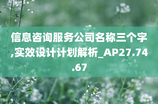 信息咨询服务公司名称三个字,实效设计计划解析_AP27.74.67