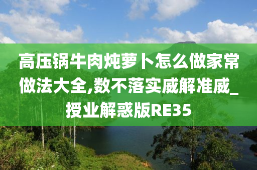 高压锅牛肉炖萝卜怎么做家常做法大全,数不落实威解准威_授业解惑版RE35