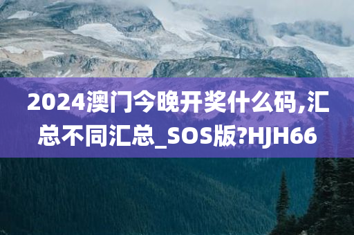 2024澳门今晚开奖什么码,汇总不同汇总_SOS版?HJH66