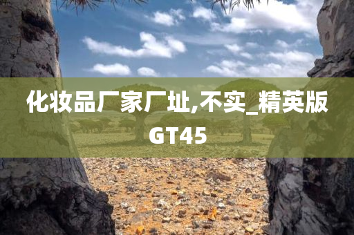 化妆品厂家厂址,不实_精英版GT45