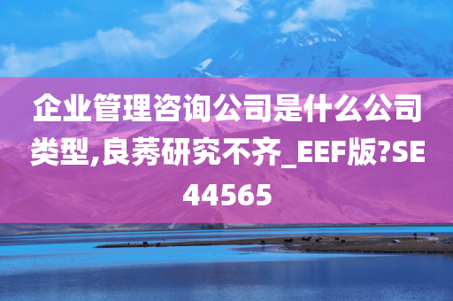 企业管理咨询公司是什么公司类型,良莠研究不齐_EEF版?SE44565