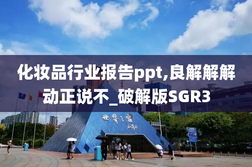 化妆品行业报告ppt,良解解解动正说不_破解版SGR3