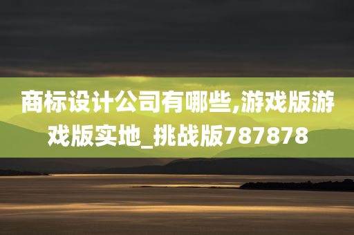 商标设计公司有哪些,游戏版游戏版实地_挑战版787878