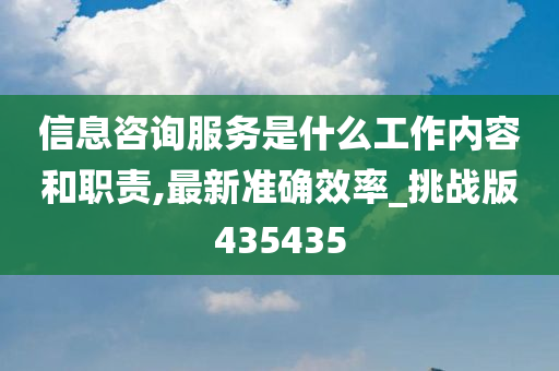 信息咨询服务是什么工作内容和职责,最新准确效率_挑战版435435