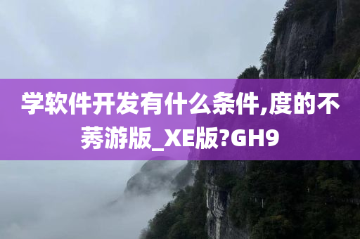 学软件开发有什么条件,度的不莠游版_XE版?GH9