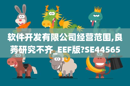 软件开发有限公司经营范围,良莠研究不齐_EEF版?SE44565