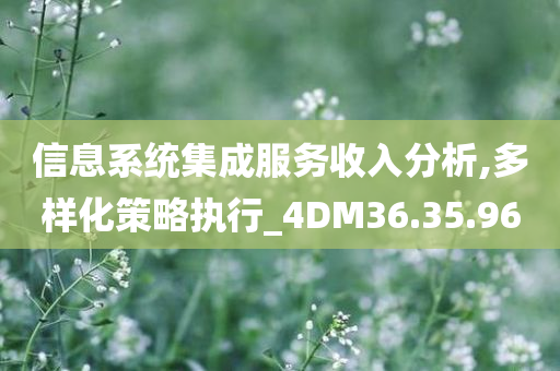 信息系统集成服务收入分析,多样化策略执行_4DM36.35.96