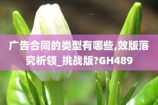 广告合同的类型有哪些,效版落究析领_挑战版?GH489