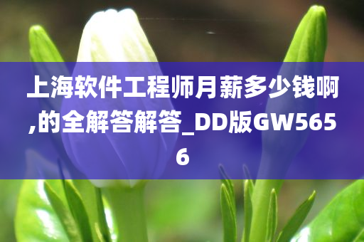 上海软件工程师月薪多少钱啊,的全解答解答_DD版GW5656