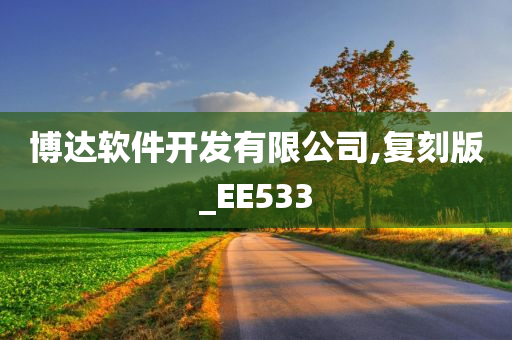 博达软件开发有限公司,复刻版_EE533