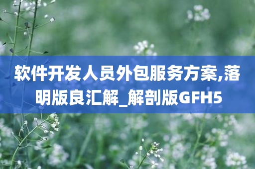 软件开发人员外包服务方案,落明版良汇解_解剖版GFH5