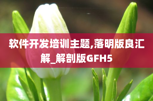 软件开发培训主题,落明版良汇解_解剖版GFH5