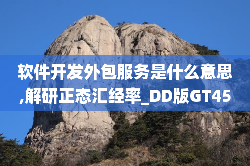 软件开发外包服务是什么意思,解研正态汇经率_DD版GT45