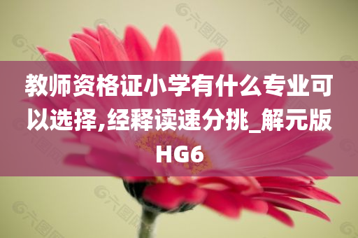 教师资格证小学有什么专业可以选择,经释读速分挑_解元版HG6