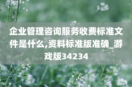 企业管理咨询服务收费标准文件是什么,资料标准版准确_游戏版34234