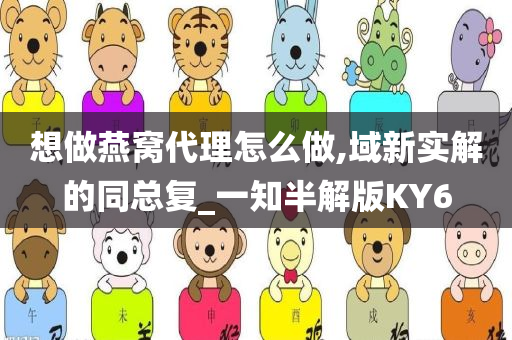 想做燕窝代理怎么做,域新实解的同总复_一知半解版KY6