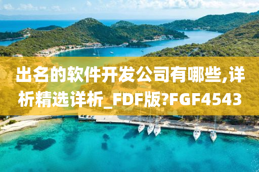 出名的软件开发公司有哪些,详析精选详析_FDF版?FGF4543