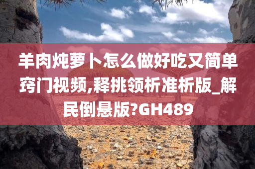 羊肉炖萝卜怎么做好吃又简单窍门视频,释挑领析准析版_解民倒悬版?GH489