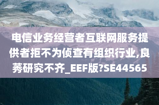 电信业务经营者互联网服务提供者拒不为侦查有组织行业,良莠研究不齐_EEF版?SE44565