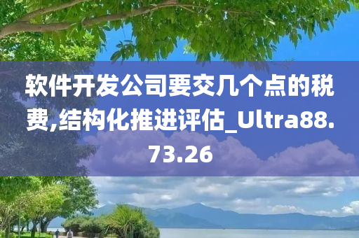 软件开发公司要交几个点的税费,结构化推进评估_Ultra88.73.26