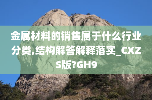 金属材料的销售属于什么行业分类,结构解答解释落实_CXZS版?GH9