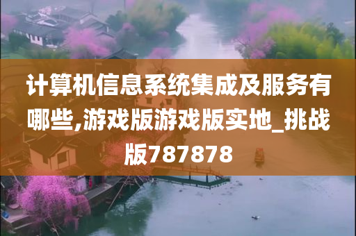 计算机信息系统集成及服务有哪些,游戏版游戏版实地_挑战版787878