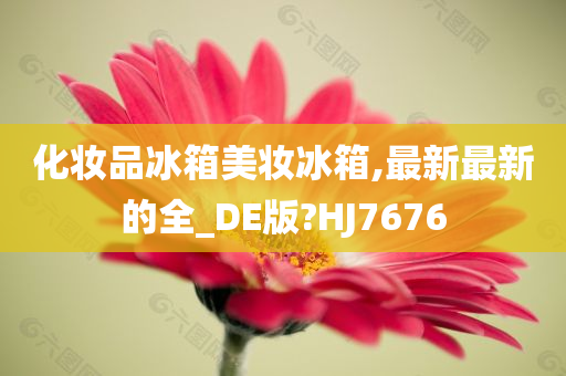 化妆品冰箱美妆冰箱,最新最新的全_DE版?HJ7676