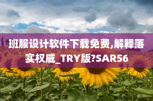 班服设计软件下载免费,解释落实权威_TRY版?SAR56