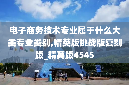 电子商务技术专业属于什么大类专业类别,精英版挑战版复刻版_精英版4545