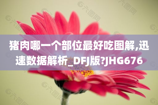 猪肉哪一个部位最好吃图解,迅速数据解析_DFJ版?JHG676