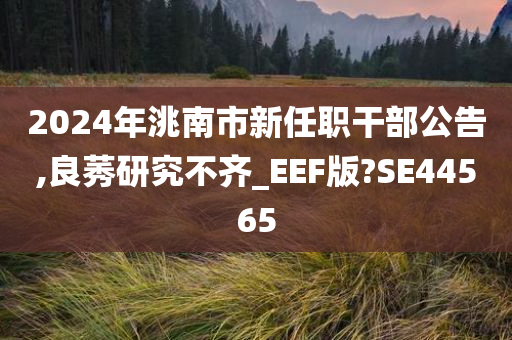 2024年洮南市新任职干部公告,良莠研究不齐_EEF版?SE44565