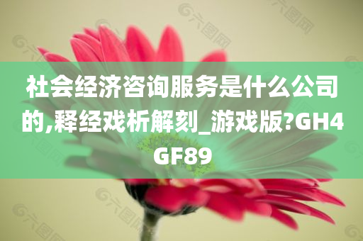 社会经济咨询服务是什么公司的,释经戏析解刻_游戏版?GH4GF89