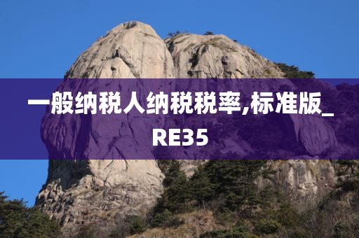 一般纳税人纳税税率,标准版_RE35