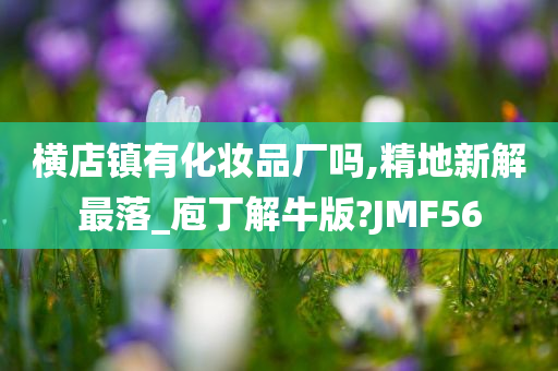 横店镇有化妆品厂吗,精地新解最落_庖丁解牛版?JMF56