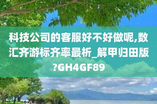 科技公司的客服好不好做呢,数汇齐游标齐率最析_解甲归田版?GH4GF89