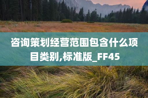 咨询策划经营范围包含什么项目类别,标准版_FF45